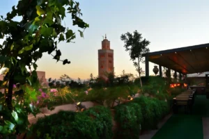 Best Things to Do in Marrakesh