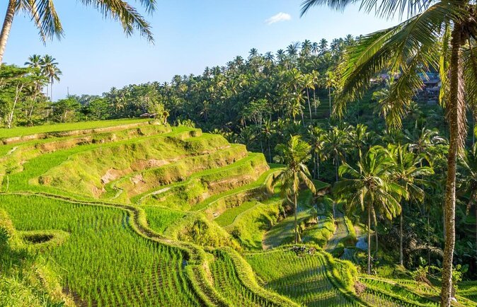 Famous Things to Do in Bali